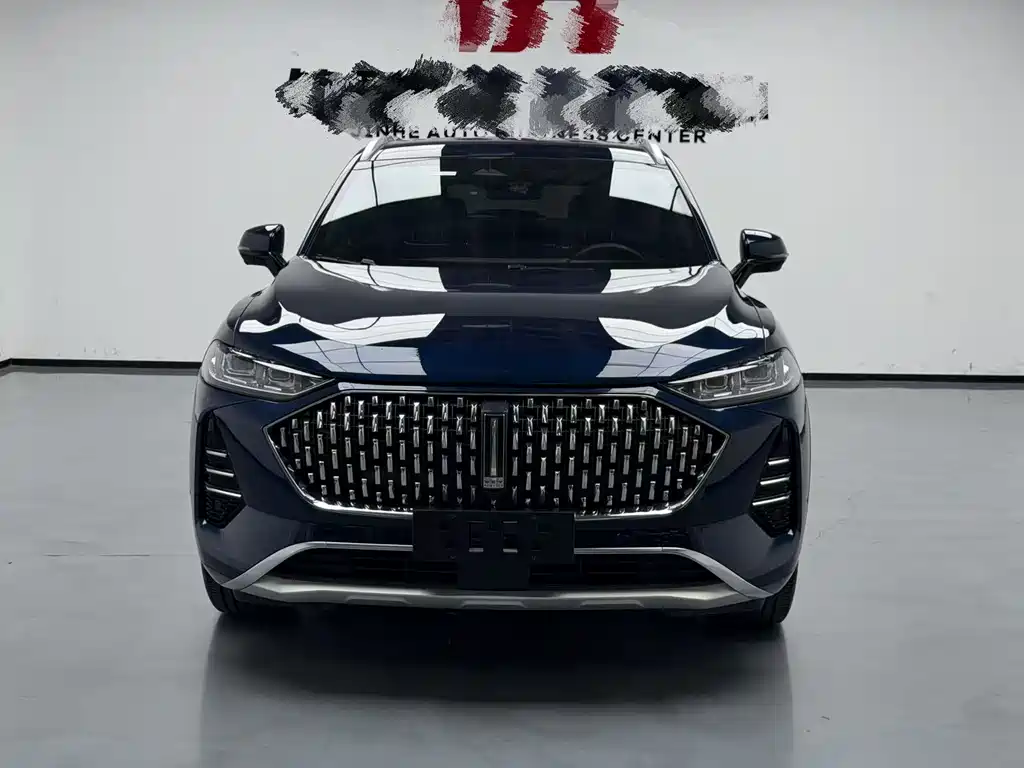 WEY Mocha 2021 2.0T AWD Special Edition