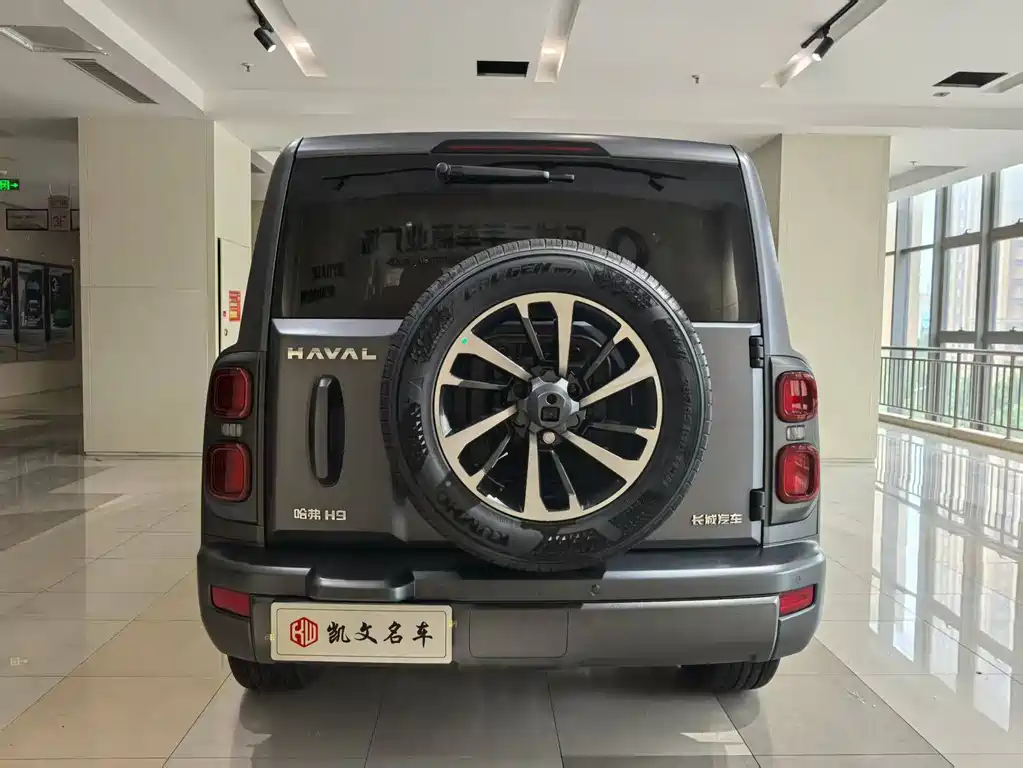 Haval H9 2024 2.0T Gasoline 4WD Extreme Edition
