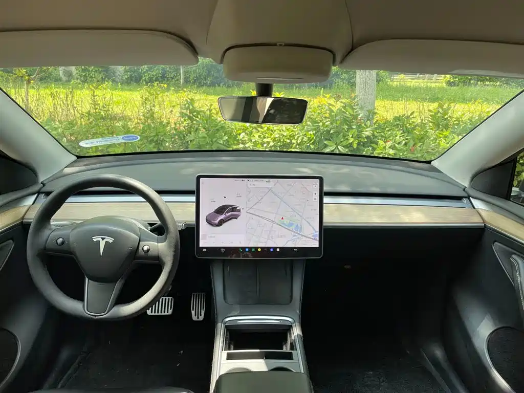 Model Y 2021 Standard Range Rear-Wheel Drive