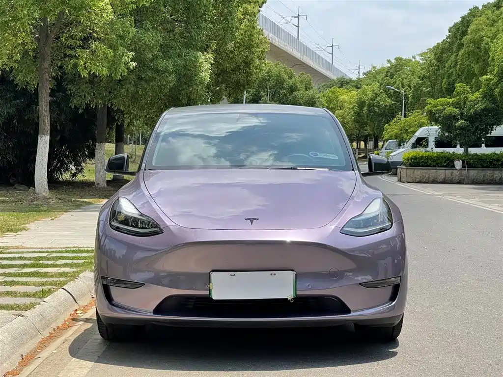 Model Y 2021 Standard Range Rear-Wheel Drive