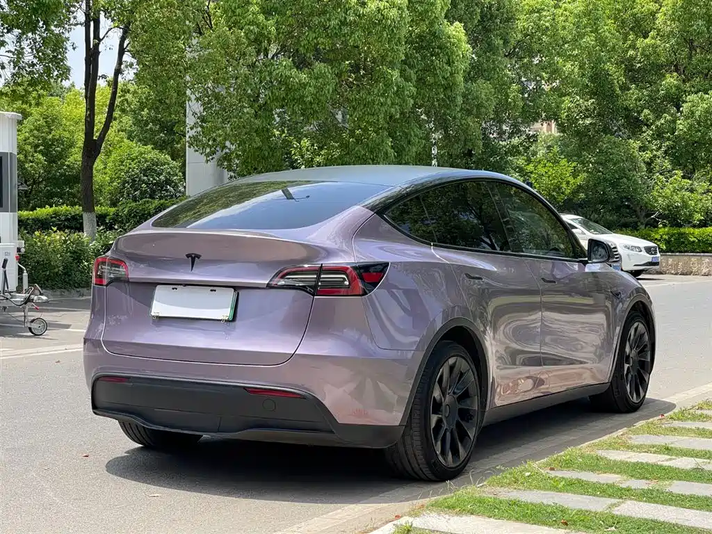Model Y 2021 Standard Range Rear-Wheel Drive