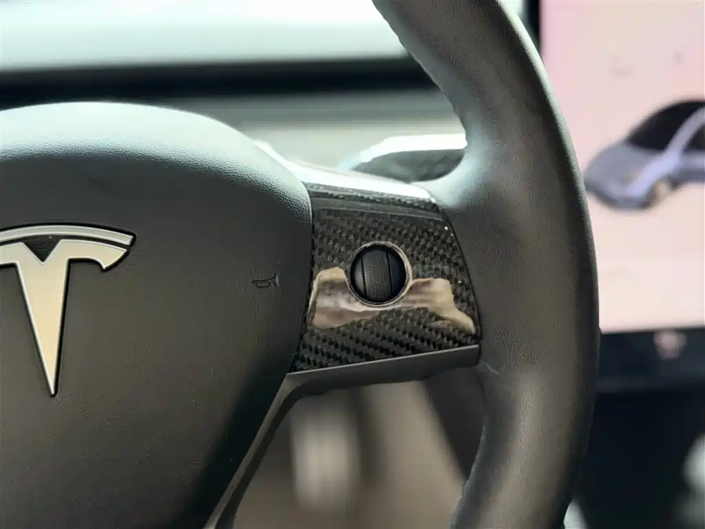 Model 3 2019 Standard Range Plus RWD