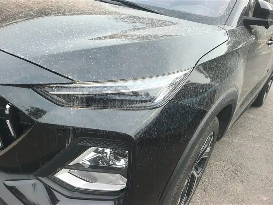 Sehol X8 2021 300T DCT Luxury Smart Connectivity Edition 6-Seater