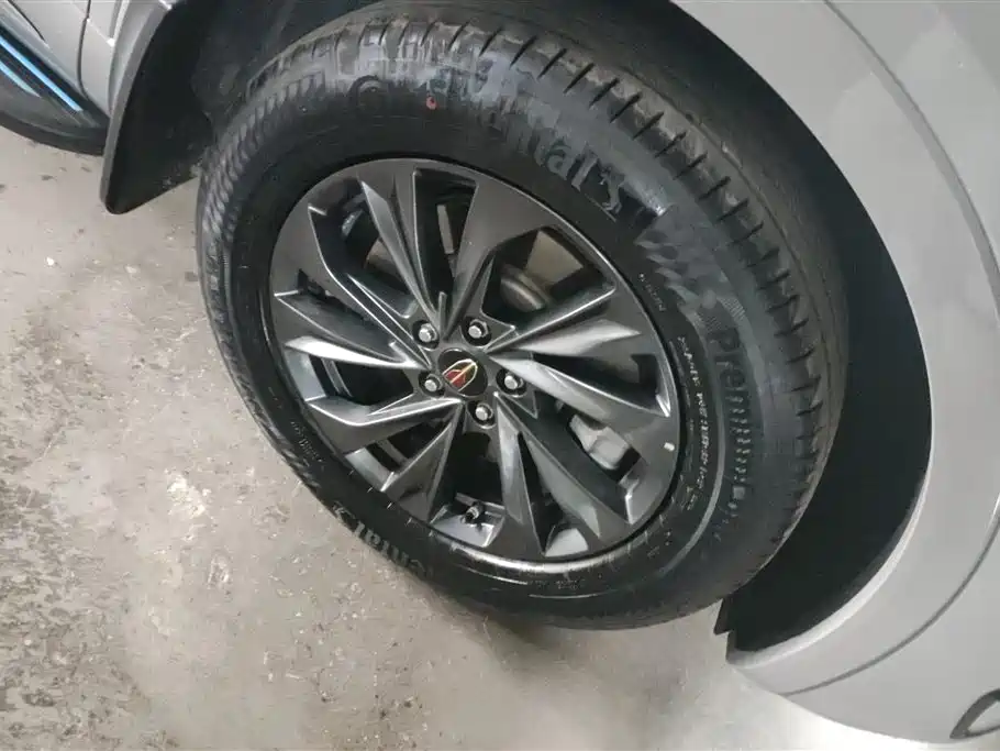Hongqi HS5 2023 2.0T Qi Xiang Pro Edition