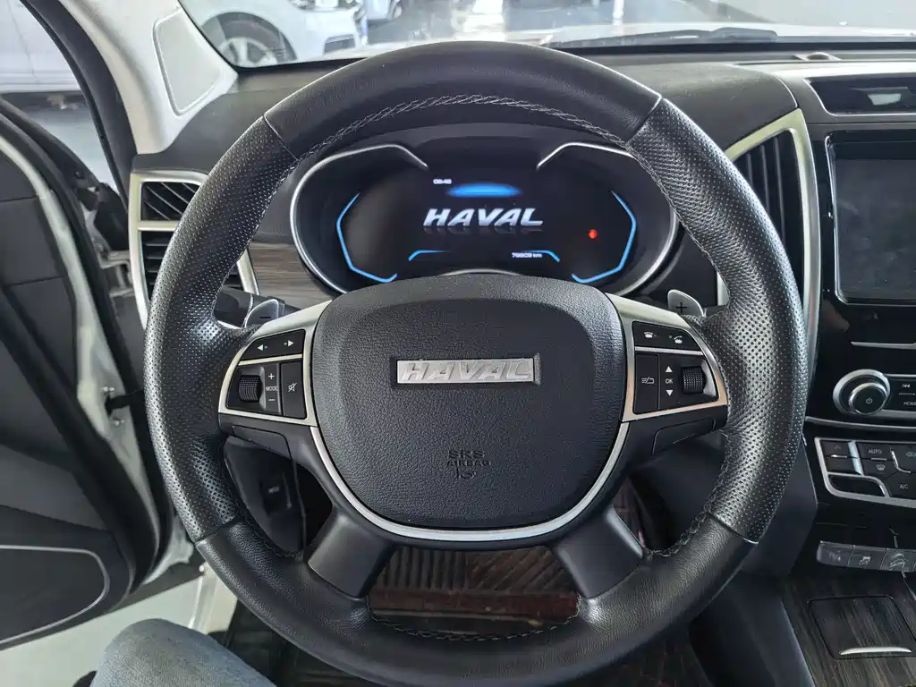 Haval H9 2020 model 2.0T Gasoline 4WD Elite Edition 5-Seater