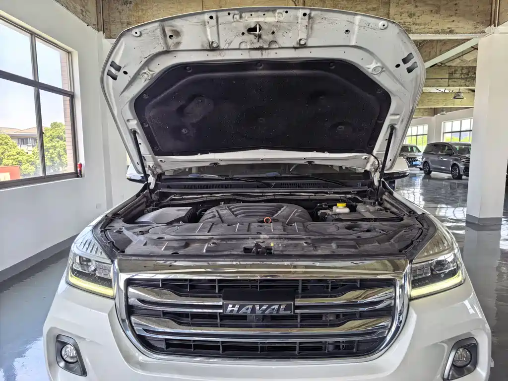 Haval H9 2020 model 2.0T Gasoline 4WD Elite Edition 5-Seater