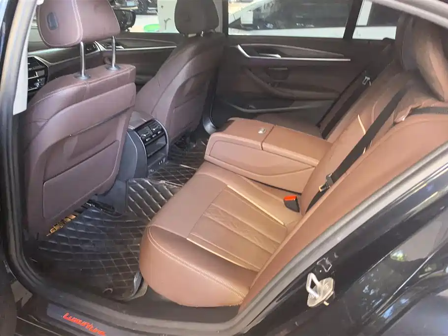 BMW 5 Series 2021 530Li xDrive Luxury Package - фото 11