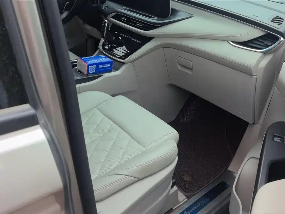 Buick GL8 2023 ES Comfort