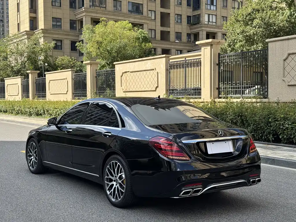 Mercedes-Benz S-Class 2020 S 350 L Business Edition Zhenzang Edition