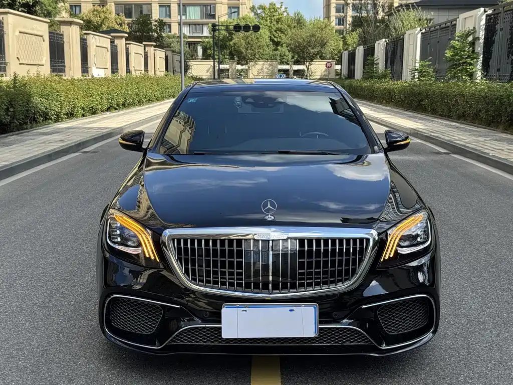 Mercedes-Benz S-Class 2020 S 350 L Business Edition Zhenzang Edition