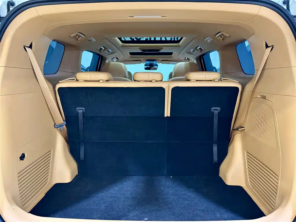 Voyah Dreamer 2022 Low Carbon Edition Meng+ Smart Enjoyment Package