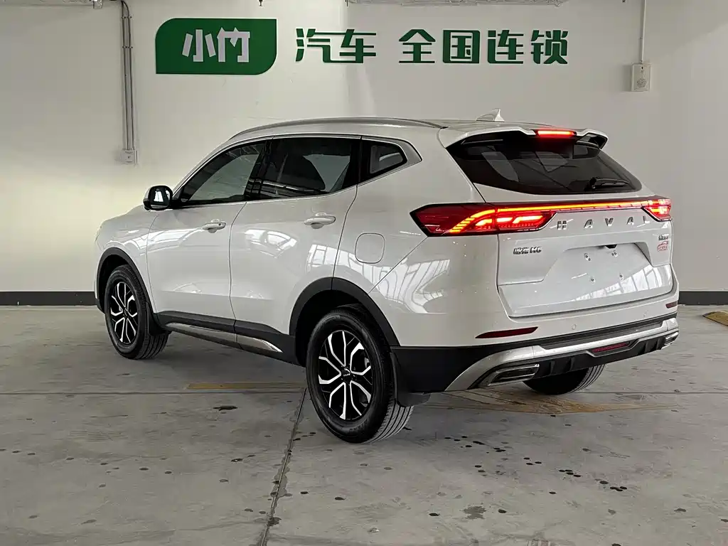 Haval H6 2023 Guochao Edition 1.5T Automatic Urban Edition