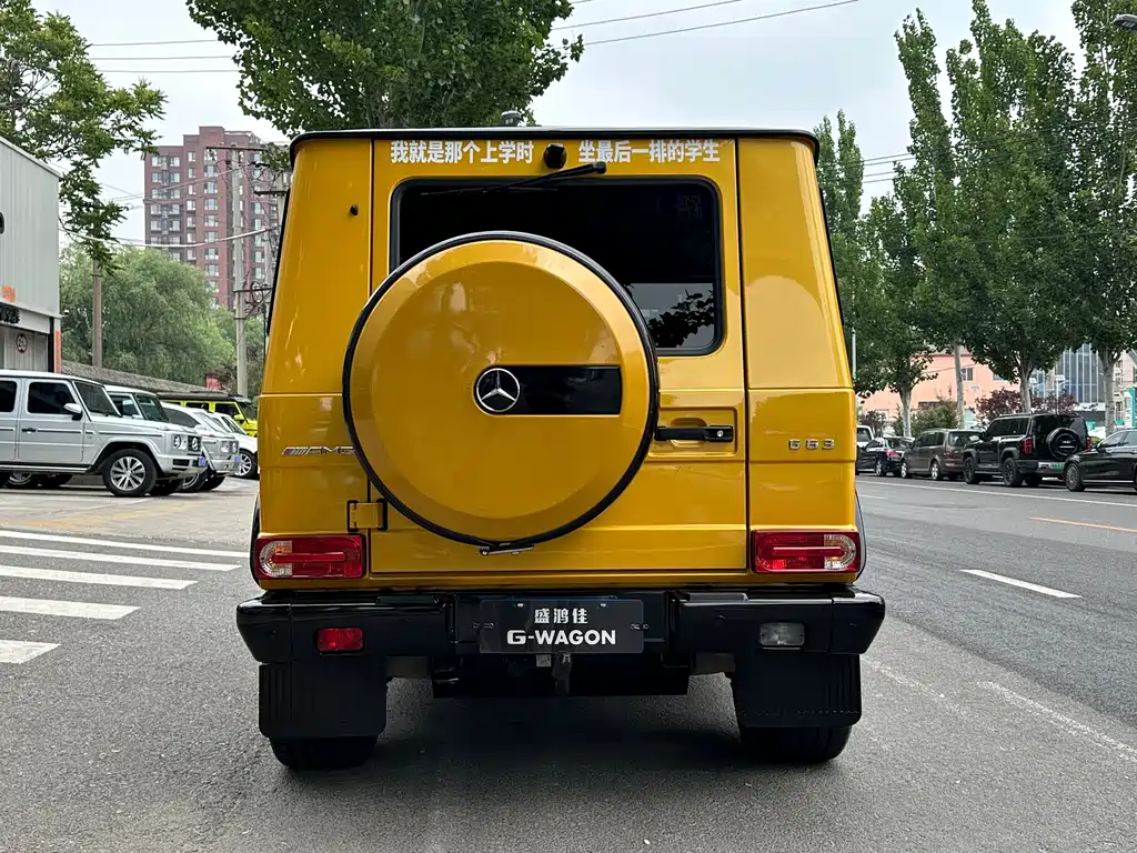 Mercedes-Benz AMG G 63 Wild Limited Edition 2015