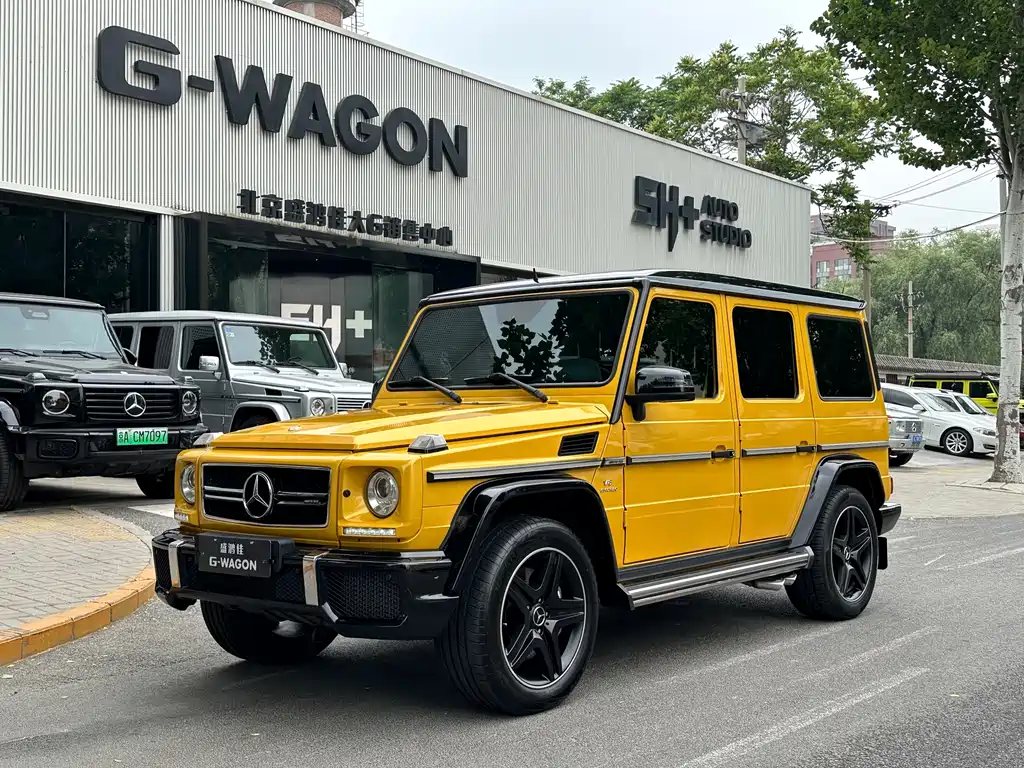 Mercedes-Benz AMG G 63 Wild Limited Edition 2015
