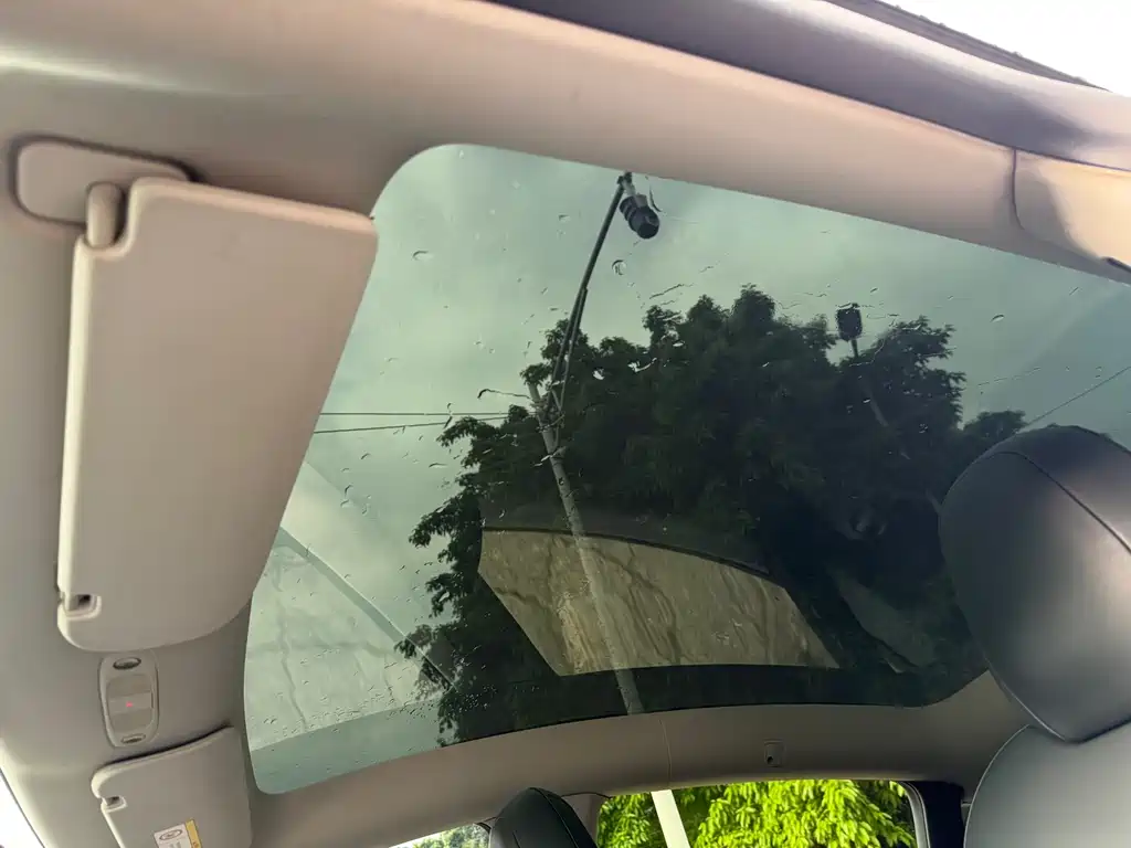 Model Y 2021 Standard Range RWD