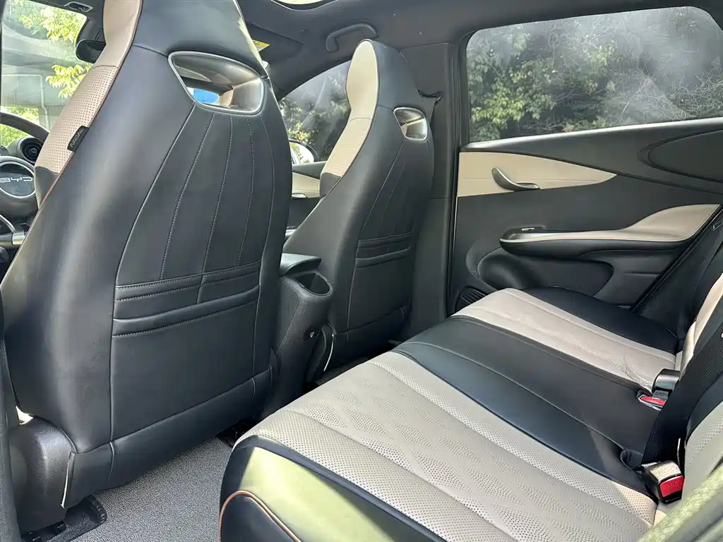 BYD Dolphin 2023 420km Fashion Edition