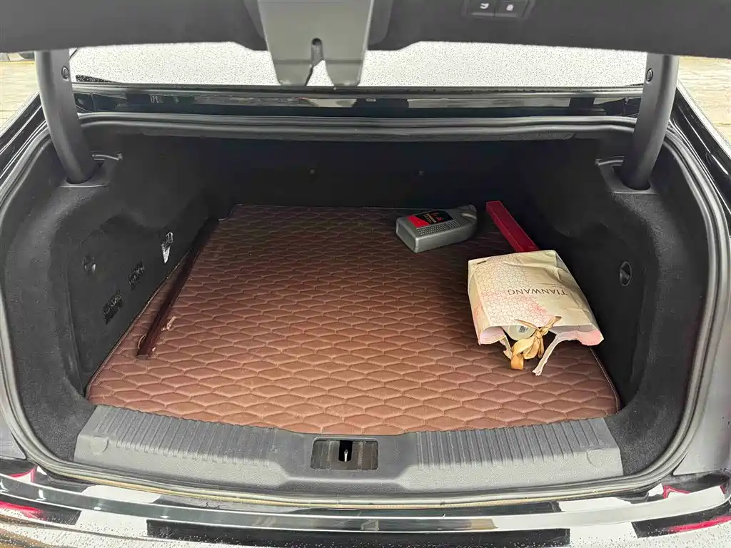 Hongqi H9 2020 3.0T Zhilian Qichang Edition