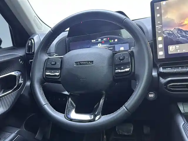 Haval Big Dog 2024 2.0T DCT Chinese Rural Dog Edition