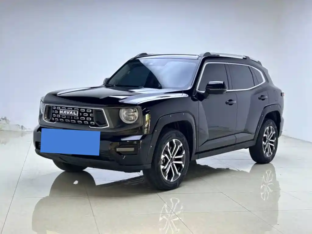 Haval Big Dog 2024 2.0T DCT Chinese Rural Dog Edition