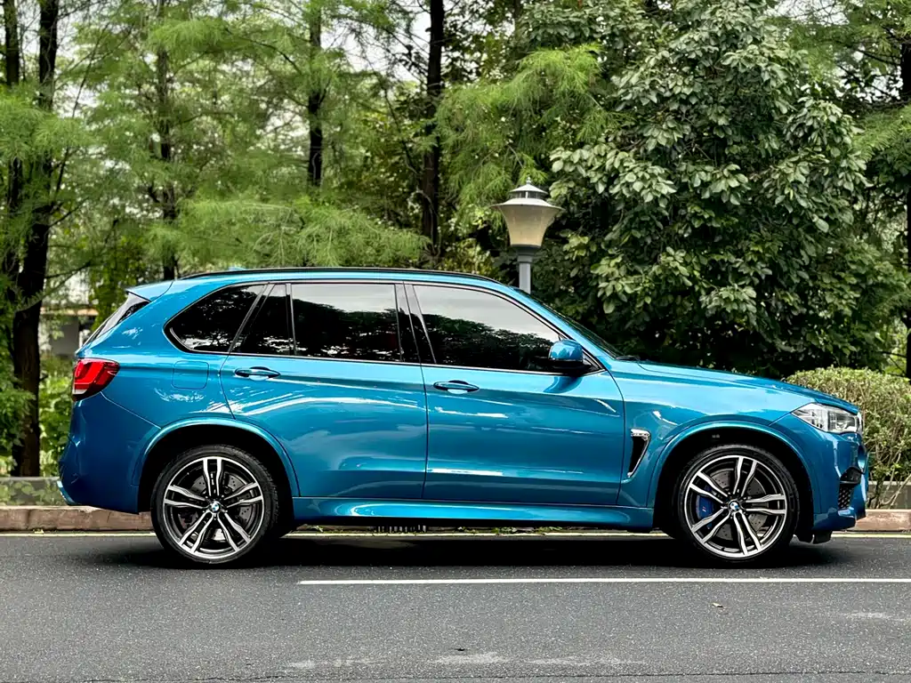BMW X5 M 2013 - фото 12