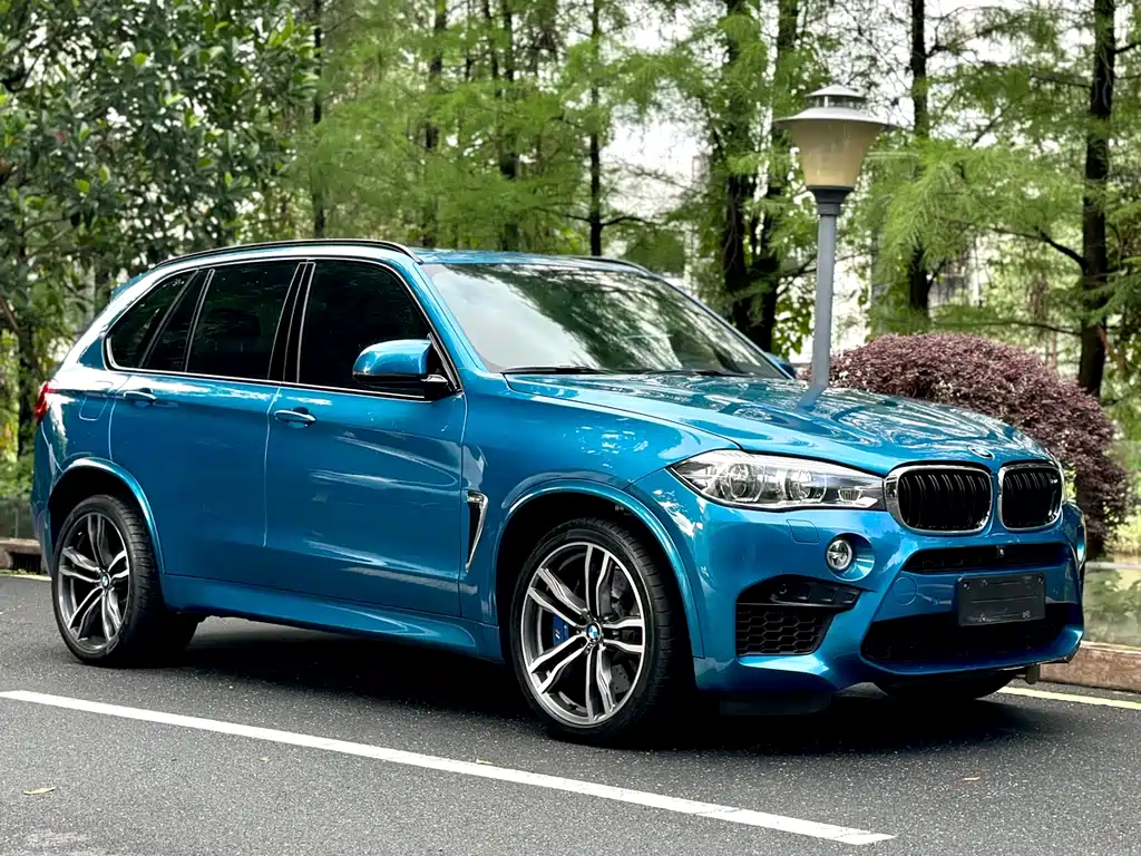BMW X5 M 2013 - фото 15