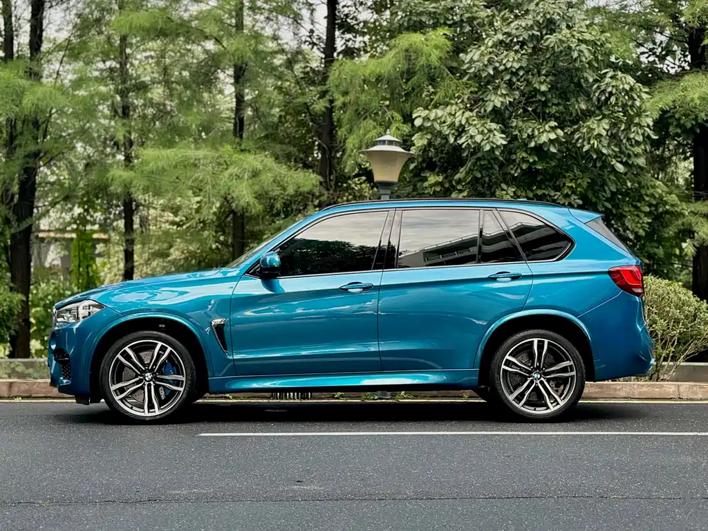 BMW X5 M 2013 - фото 5