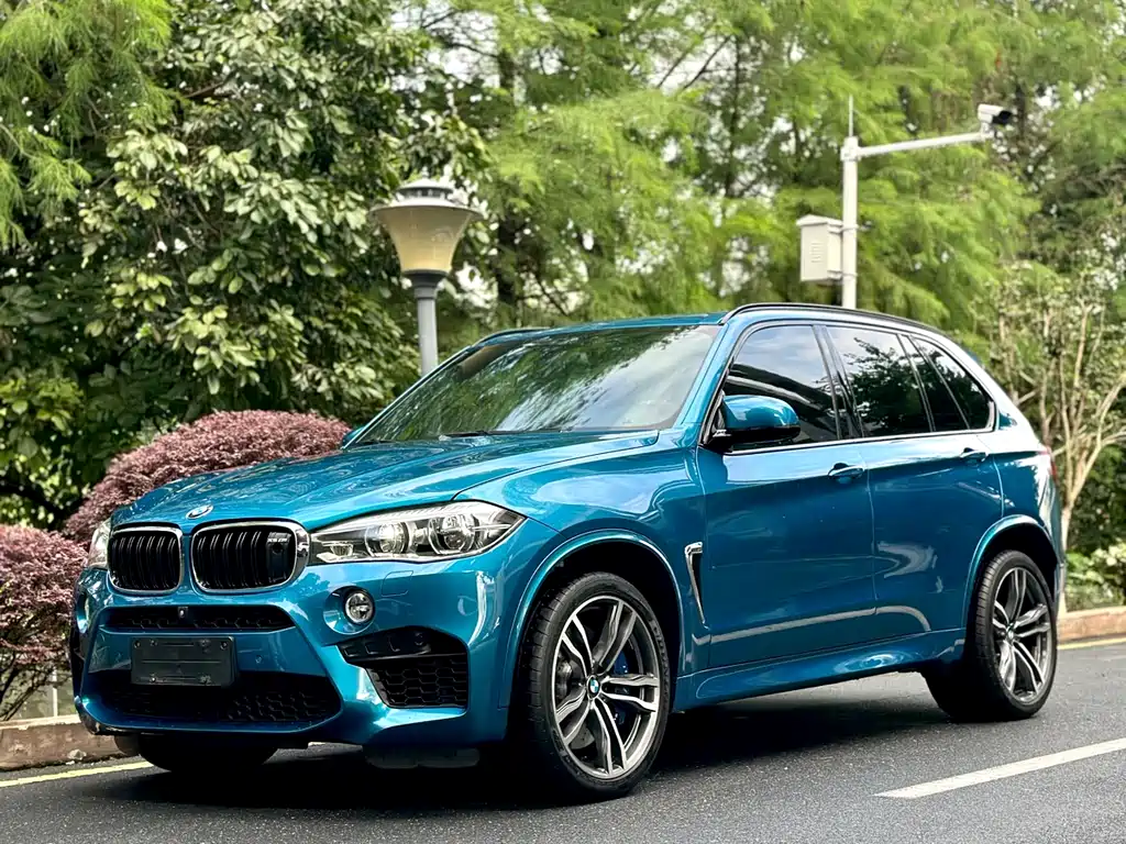 BMW X5 M 2013 - фото 4