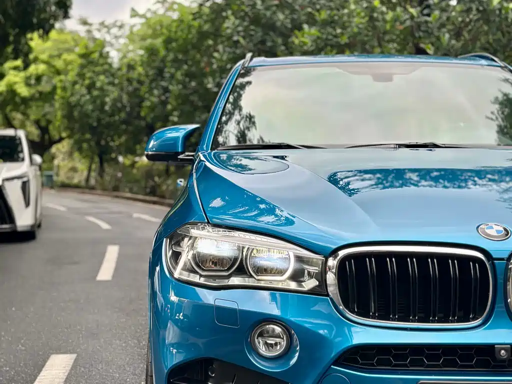 BMW X5 M 2013 - фото 6
