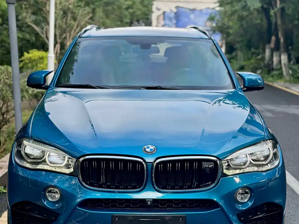 BMW X5 M 2013 - фото 2