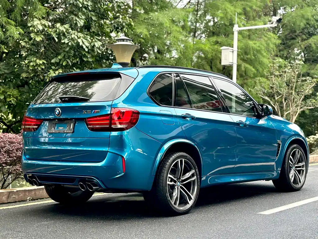 BMW X5 M 2013 - фото 11