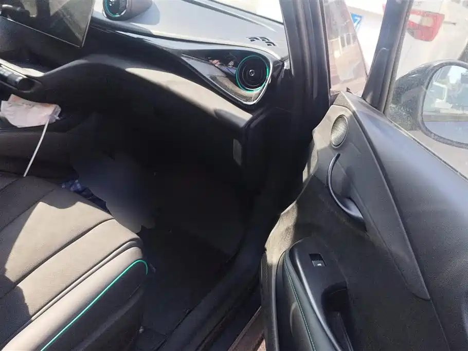 BYD Dolphin 2024 Honor Edition 420km Free Edition