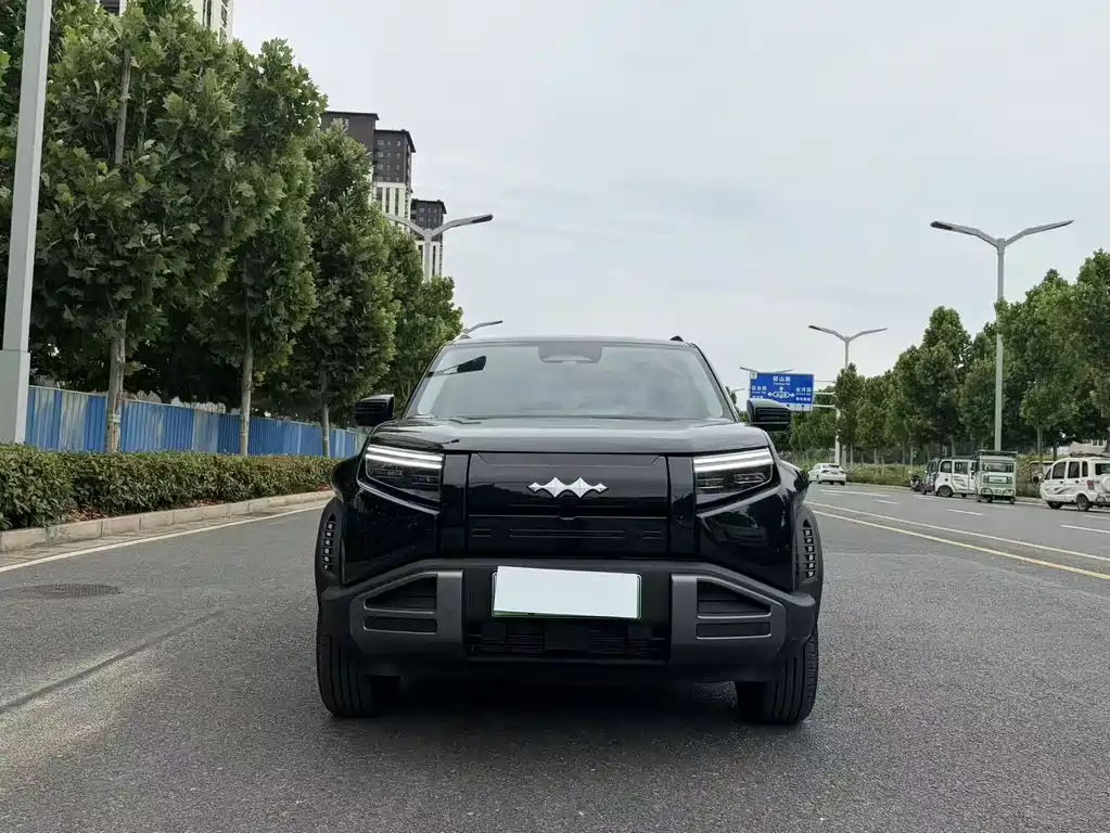Fang Cheng Bao Ti 3 2025 501km RWD Max Edition