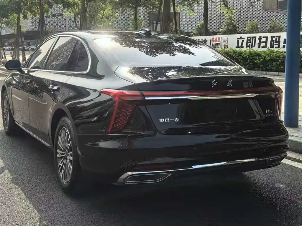 Hongqi H5 2024 2.0T Automatic ZhiLian QiXiang Edition