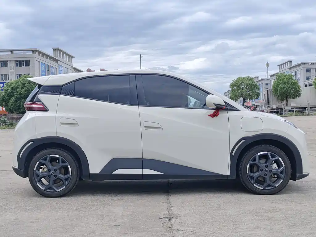 BYD Seagull 2025 Intelligent Driving Edition 305km Freedom Edition