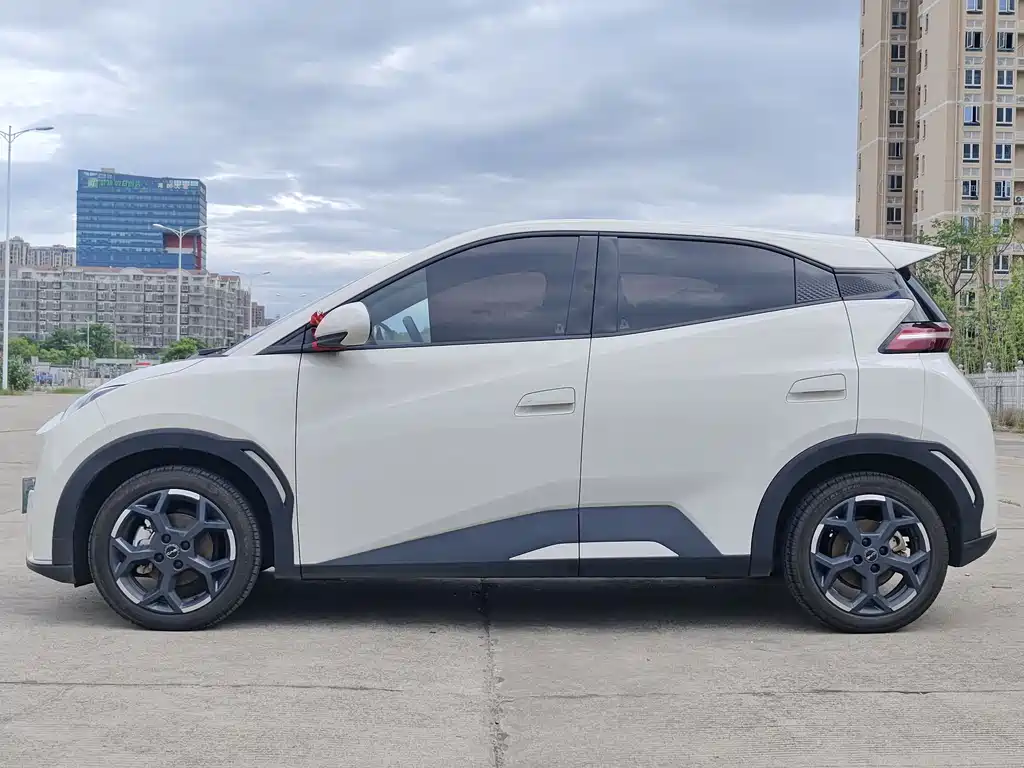 BYD Seagull 2025 Intelligent Driving Edition 305km Freedom Edition
