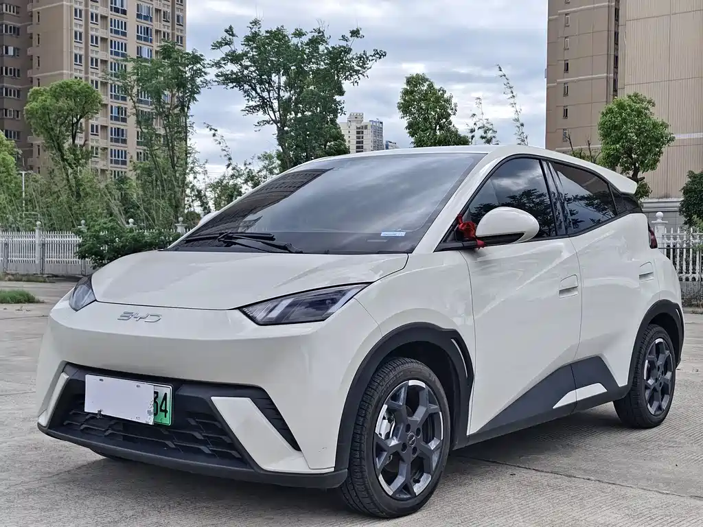 BYD Seagull 2025 Intelligent Driving Edition 305km Freedom Edition