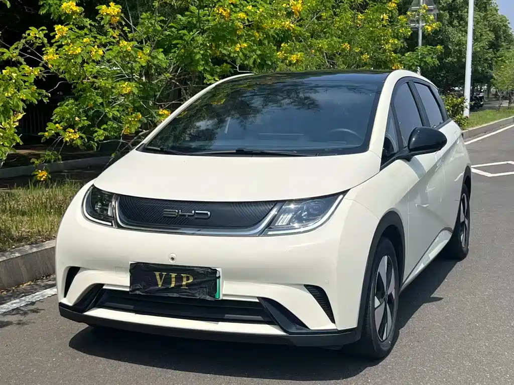 BYD Dolphin 2023 420km Fashion Edition