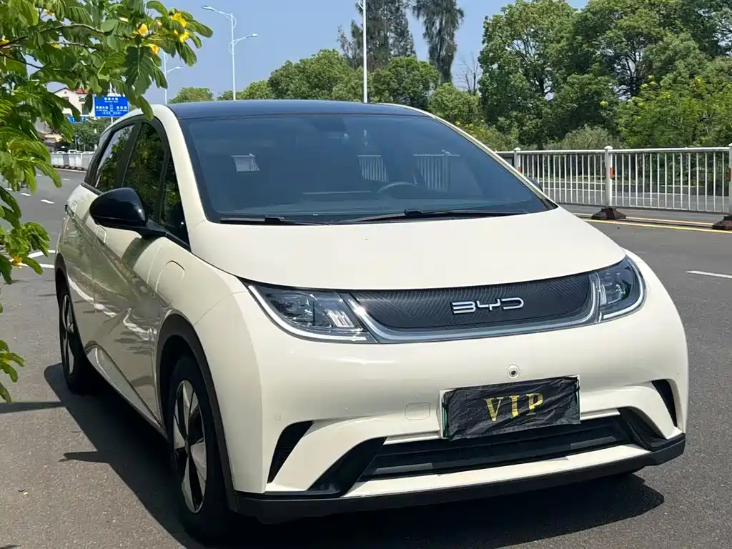 BYD Dolphin 2023 420km Fashion Edition