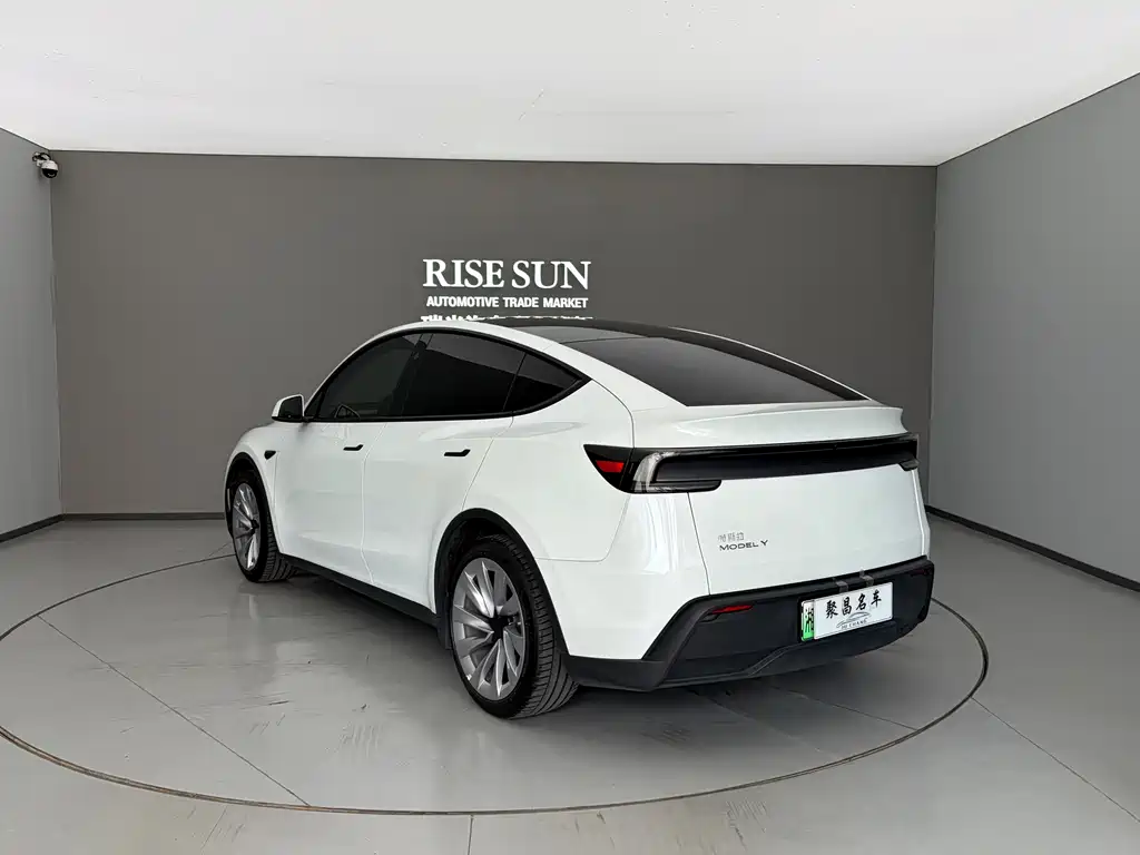 Tesla Model Y 2025 Rear-Wheel Drive