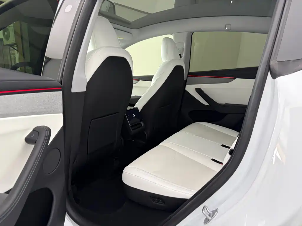 Tesla Model Y 2025 Rear-Wheel Drive