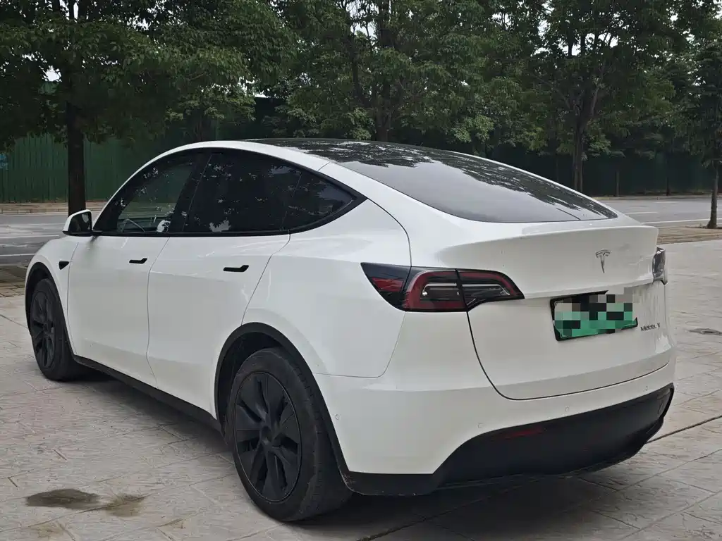 Tesla Model Y 2022 Rear-Wheel Drive