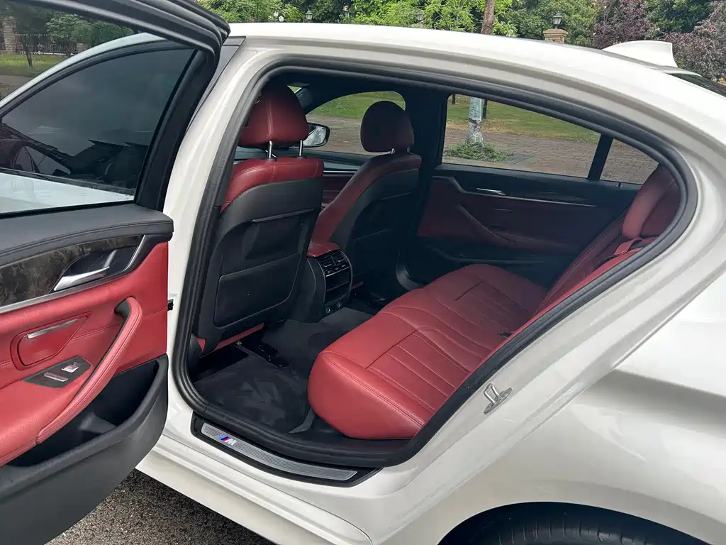 BMW 5 Series 2019 530Li xDrive M Sport Package