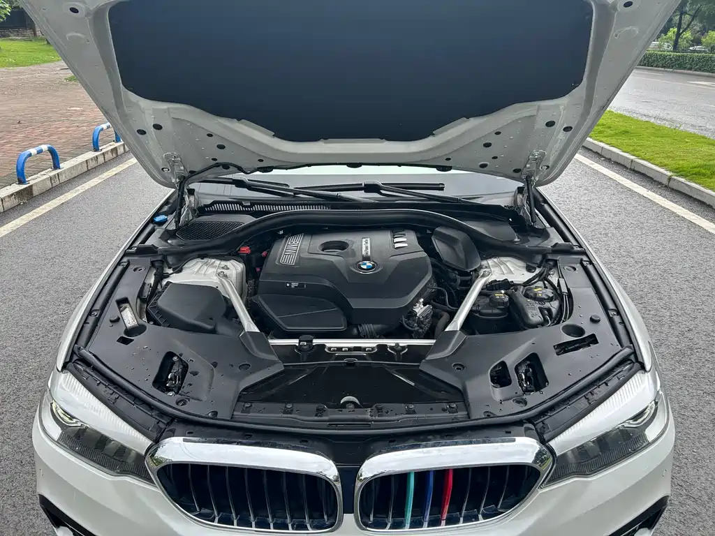 BMW 5 Series 2019 530Li xDrive M Sport Package
