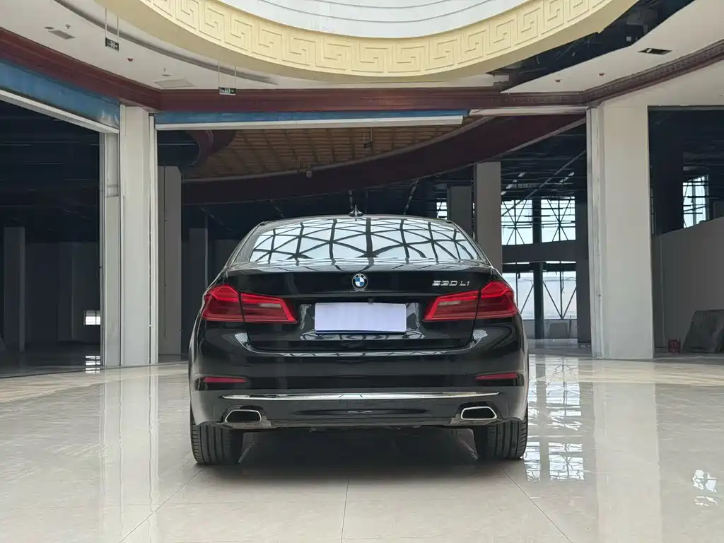 BMW 5 Series 2019 530Li Leading Edition Luxury Package
