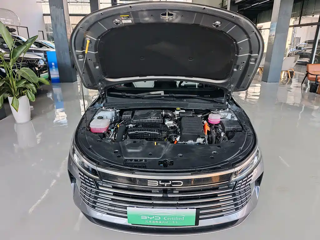 BYD Destroyer 05 2023 Champion Edition DM-i 120KM Premium