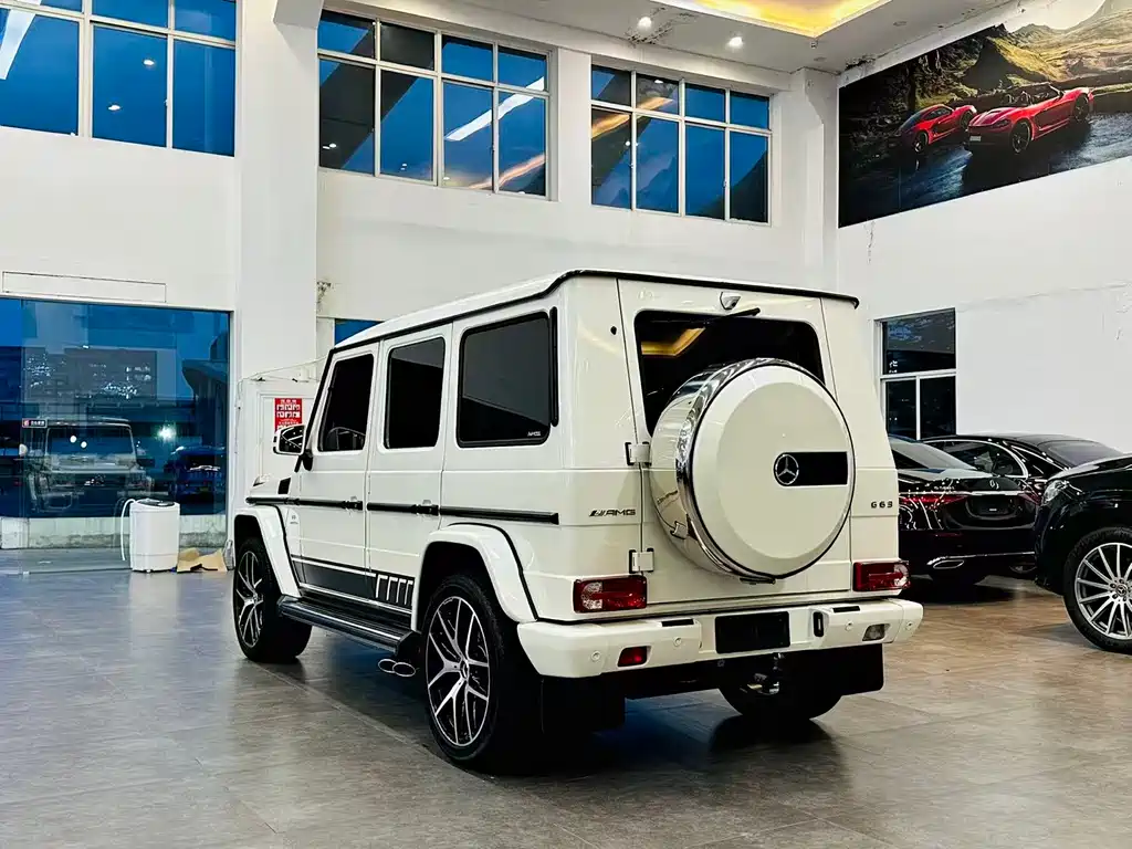 Mercedes-Benz G-Class AMG 2016 AMG G 63 Edition 463
