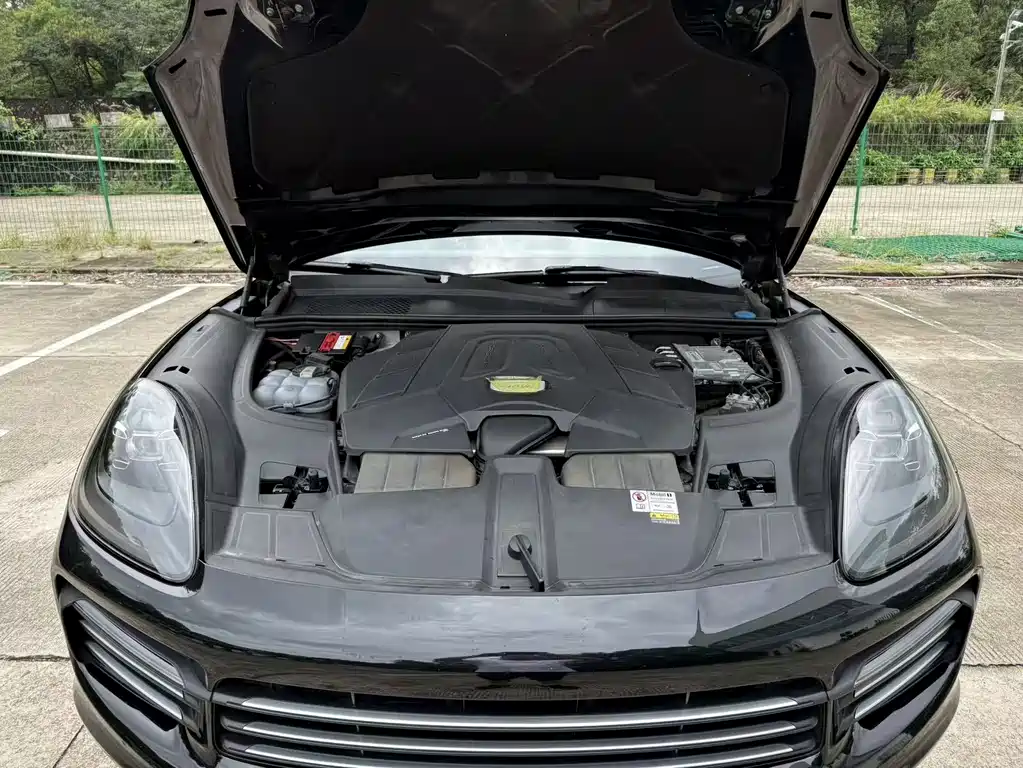 Cayenne 2023 Cayenne 3.0T