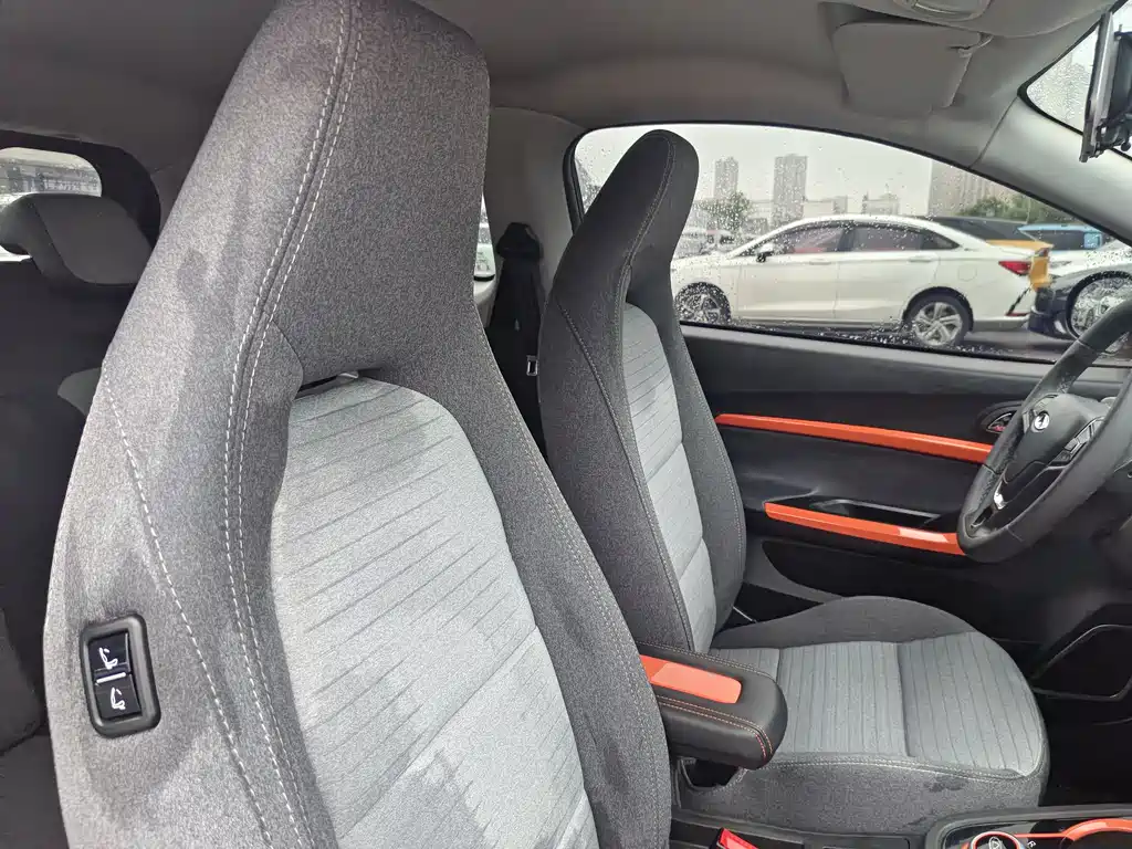 Chery eQ1 2021 200,000 Ant Powder Edition Oxygen Version Ternary Lithium 301km