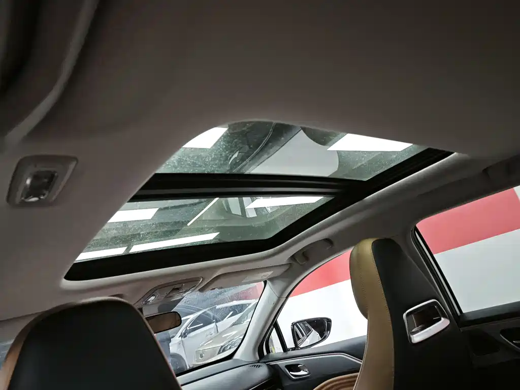 AION S 2019 Evo 530