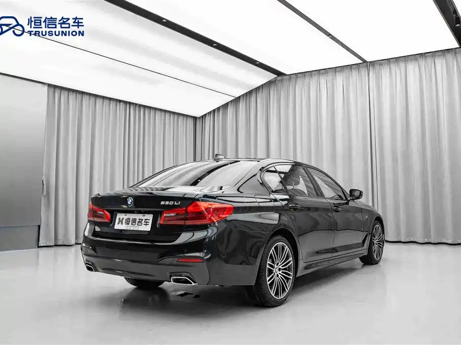 BMW 5 Series 2019 530Li Leading Edition M Sport Package